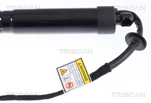 TRISCAN 8710 20302 Gasfjäder, bagageutrymme