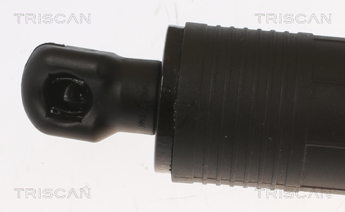 TRISCAN 8710 20304 Gasfjäder, bagageutrymme