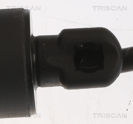 TRISCAN 8710 20304 Gasfjäder, bagageutrymme