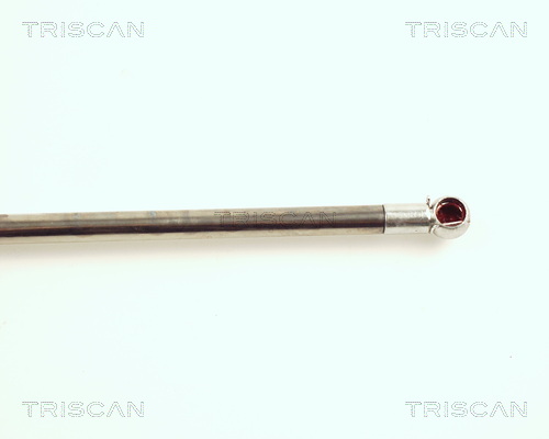 TRISCAN 8710 21200 Gasfjäder, bagageutrymme