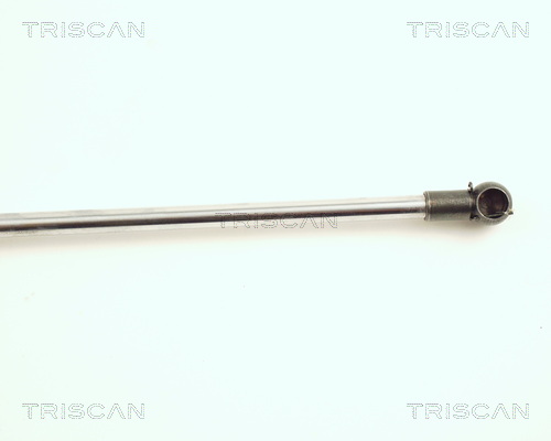 TRISCAN 8710 21202 Gasfjäder, bagageutrymme