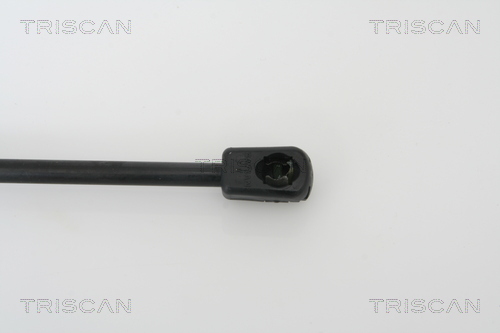 TRISCAN 8710 21205 Gasfjäder, bagageutrymme