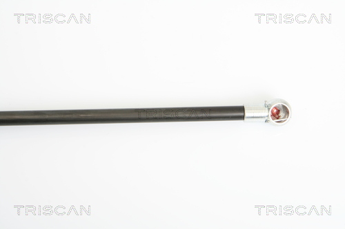 TRISCAN 8710 21206 Gasfjäder, bagageutrymme