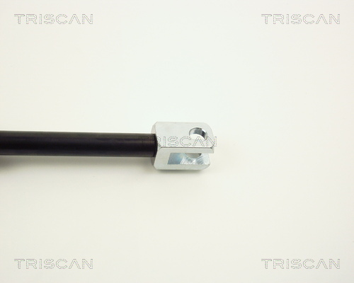 TRISCAN 8710 2301 Gasfjäder, bagageutrymme