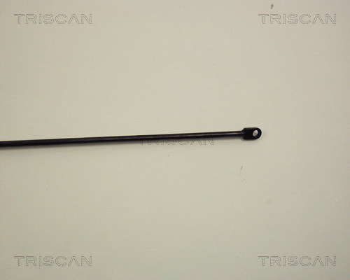 TRISCAN 8710 2302 Gasfeder, Motorhaube