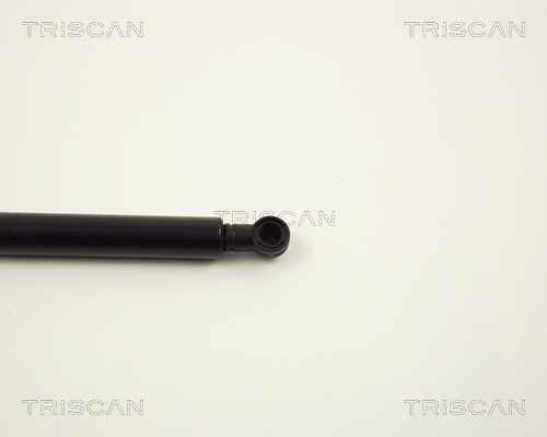 TRISCAN 8710 2307 Gestängedämpfer, Einspritzanlage