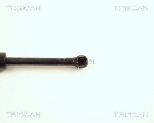 TRISCAN 8710 23107 Gasfeder, Motorhaube