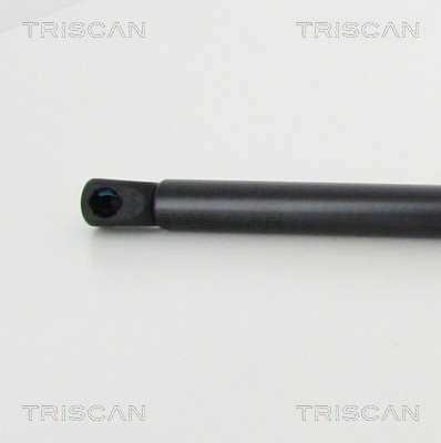 TRISCAN 8710 23124 Gasfeder, Motorhaube