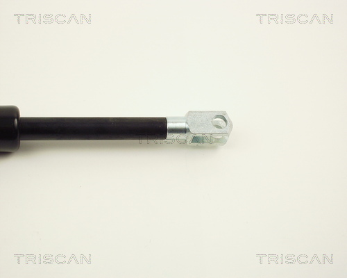 TRISCAN 8710 2312 Gasfjäder, bagageutrymme