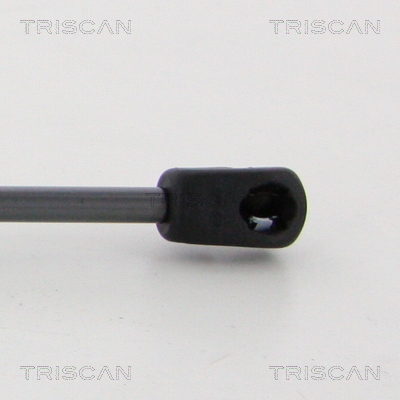 TRISCAN 8710 23130 Gasfeder, Motorhaube