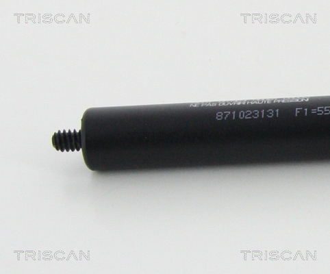 TRISCAN 8710 23131 Gasfeder, Motorhaube