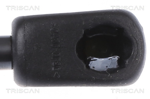 TRISCAN 8710 23138 Gasfeder, Motorhaube