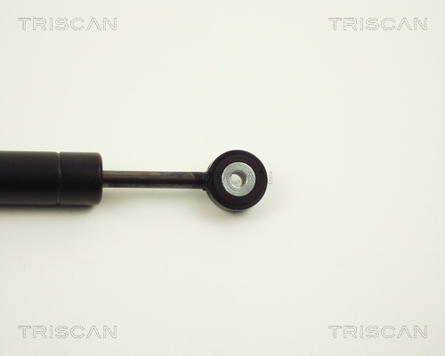 TRISCAN 8710 2313 Schwingungsdämpfer, Keilrippenriemen