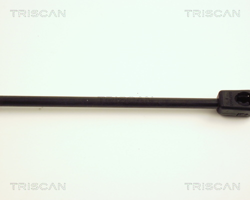 TRISCAN 8710 23201 Gasfjäder, bagageutrymme