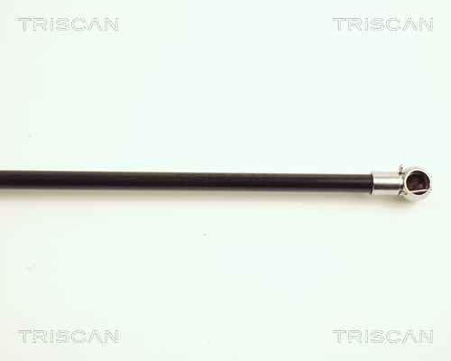TRISCAN 8710 23202 Gasfjäder, bagageutrymme