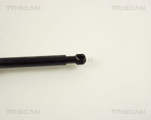 TRISCAN 8710 23207 Gasfeder, Koffer-/Laderaum