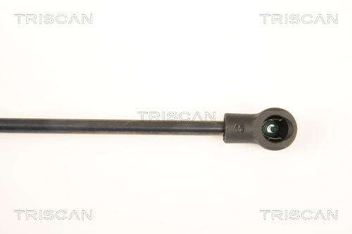 TRISCAN 8710 23219 Gasfjäder, bagageutrymme