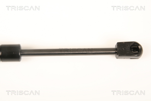 TRISCAN 8710 23221 Gasfjäder, bagageutrymme