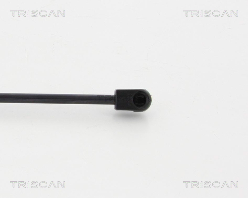 TRISCAN 8710 23231 Gasfjäder, bagageutrymme