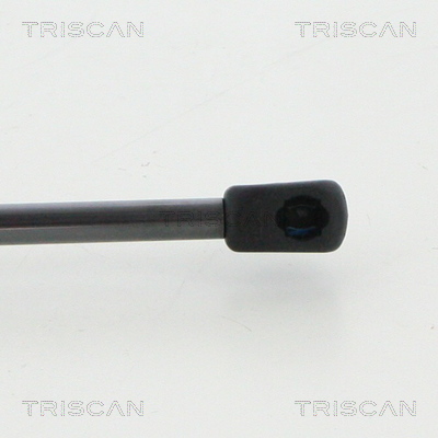 TRISCAN 8710 23250 Gasfeder, Koffer-/Laderaum