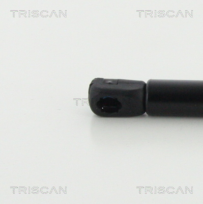 TRISCAN 8710 23252 Gasfeder, Heckscheibe