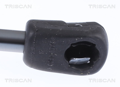 TRISCAN 8710 23298 Gasfeder, Koffer-/Laderaum