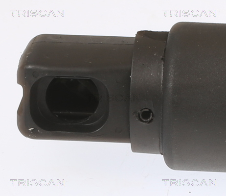 TRISCAN 8710 23304 Gasfjäder, bagageutrymme