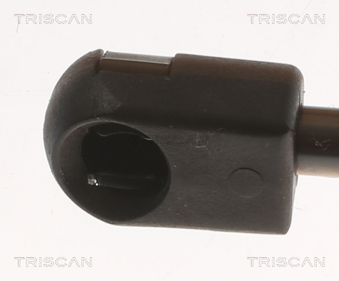 TRISCAN 8710 23312 Gasfeder, Koffer-/Laderaum