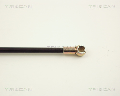 TRISCAN 8710 2402 Gasfjäder, bagageutrymme