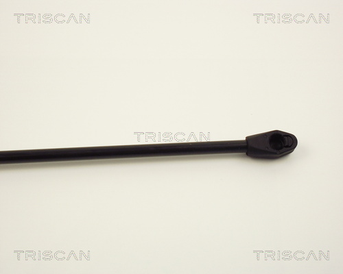 TRISCAN 8710 2409 Gasfjäder, bagageutrymme