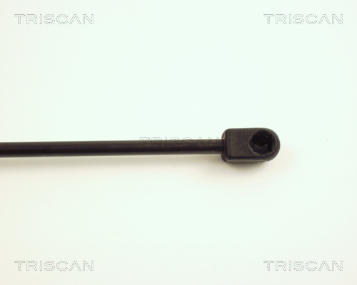 TRISCAN 8710 24101 Gasfeder, Motorhaube