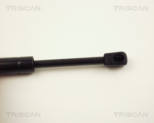 TRISCAN 8710 24102 Gasfeder, Motorhaube