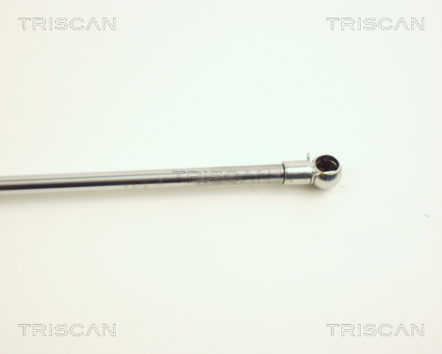 TRISCAN 8710 24103 Gasfeder, Motorhaube