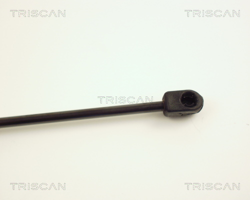 TRISCAN 8710 24104 Gasfeder, Motorhaube