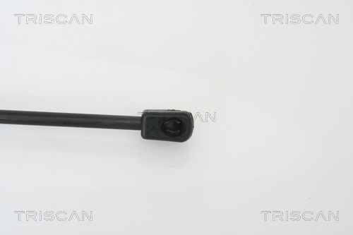 TRISCAN 8710 24105 Gasfeder, Motorhaube