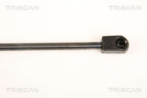 TRISCAN 8710 24106 Gasfeder, Motorhaube