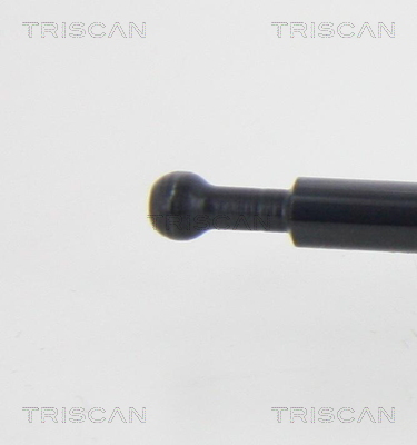 TRISCAN 8710 24107 Gasfeder, Motorhaube