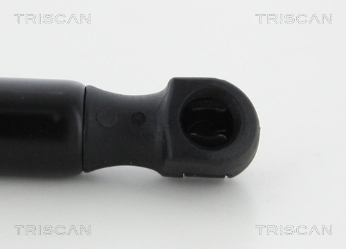 TRISCAN 8710 24107 Gasfeder, Motorhaube