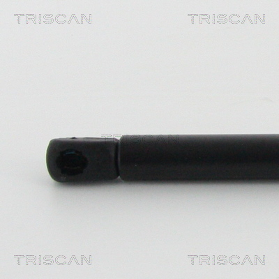TRISCAN 8710 24108 Gasfeder, Motorhaube