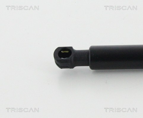 TRISCAN 8710 24109 Gasfeder, Motorhaube