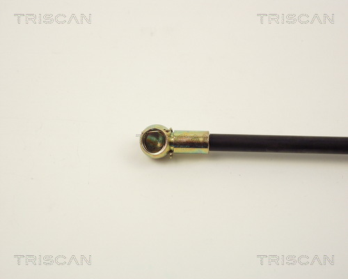 TRISCAN 8710 2412 Gasfjäder, bagageutrymme