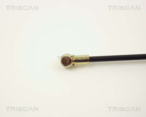 TRISCAN 8710 2415 Gasfjäder, bagageutrymme