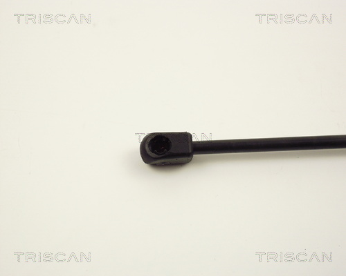 TRISCAN 8710 2419 Gasfjäder, bagageutrymme
