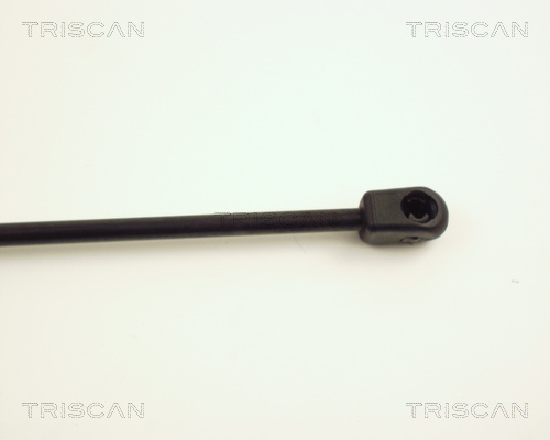 TRISCAN 8710 24201 Gasfjäder, bagageutrymme