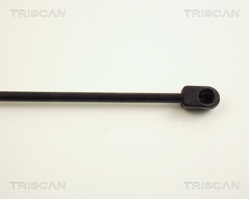 TRISCAN 8710 24202 Gasfeder, Koffer-/Laderaum