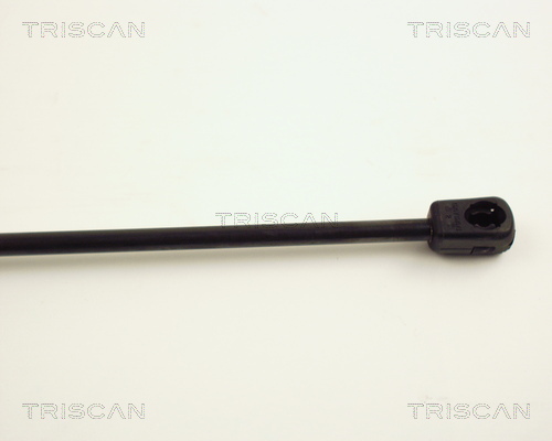 TRISCAN 8710 24204 Gasfjäder, bagageutrymme