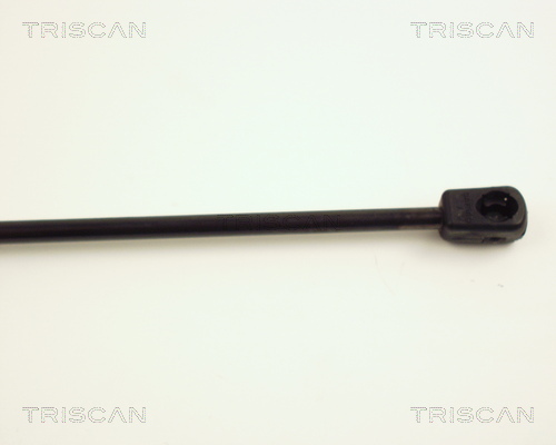 TRISCAN 8710 24205 Gasfjäder, bagageutrymme