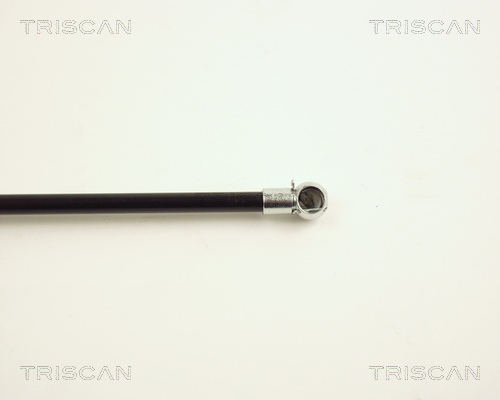 TRISCAN 8710 24207 Gasfjäder, bagageutrymme