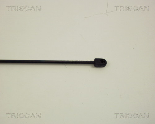 TRISCAN 8710 24210 Gasfjäder, bagageutrymme