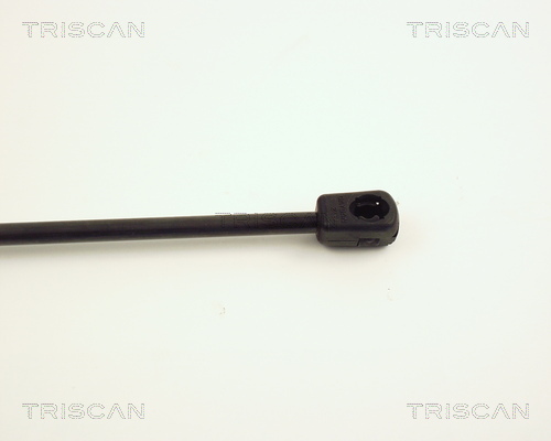 TRISCAN 8710 24225 Gasfjäder, bagageutrymme